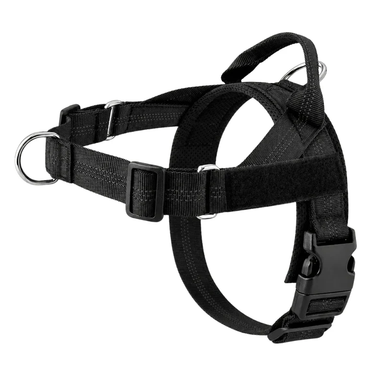 Harnais de dressage