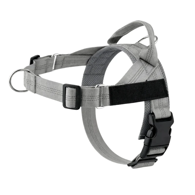 Harnais de dressage