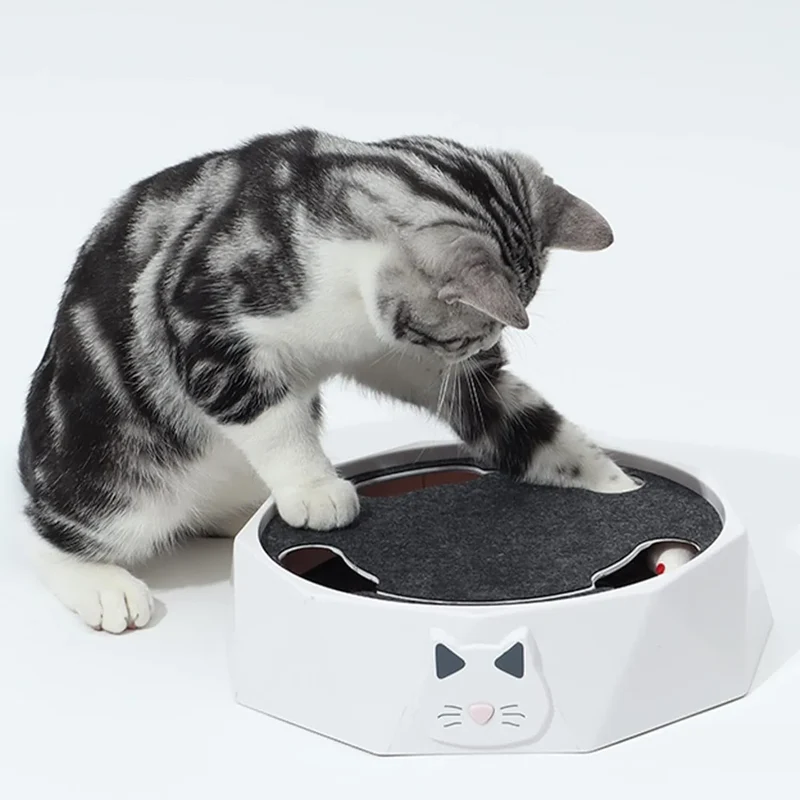 Souris pour chat