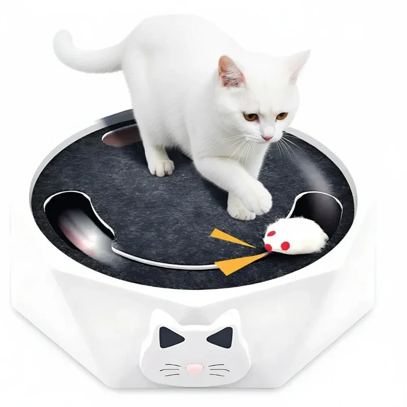 Souris pour chat