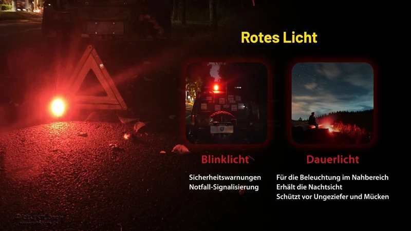 NWL20 - Arbeitsleuchte - 600 Lumen
