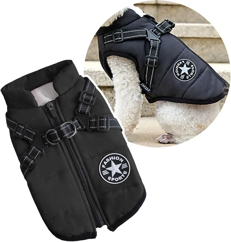 Harnais pour chien