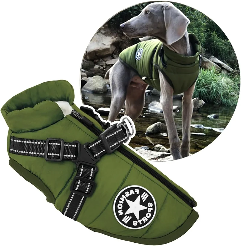 Harnais pour chien