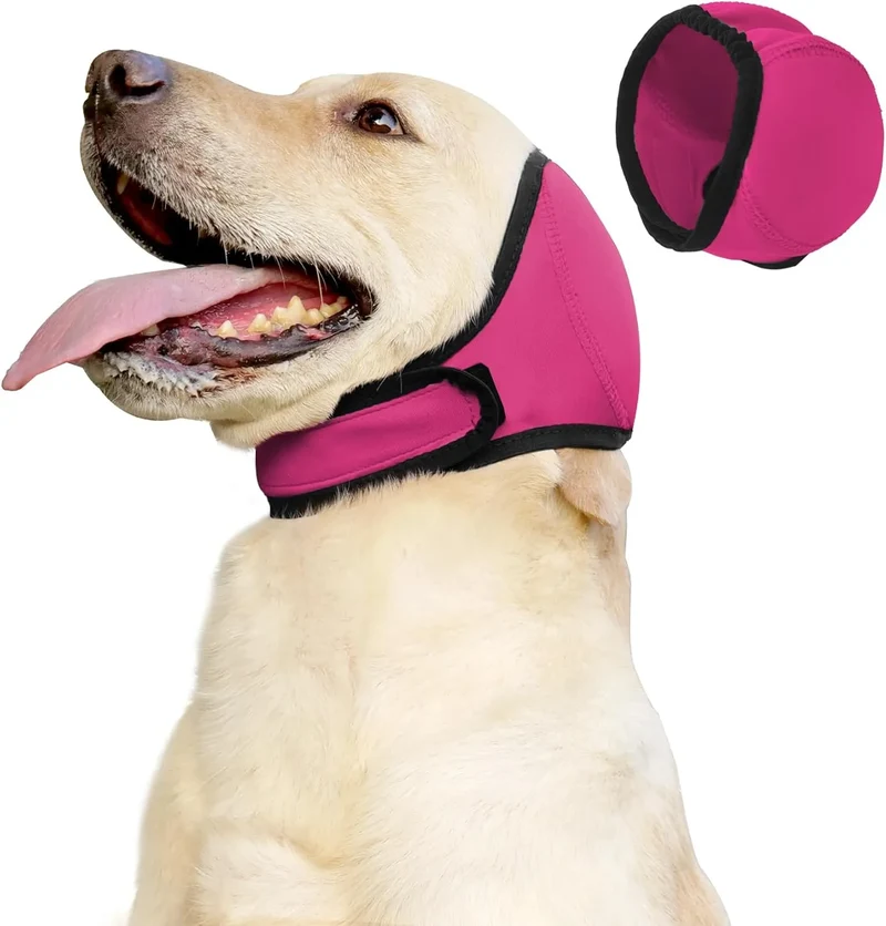 Cache-oreilles pour chien