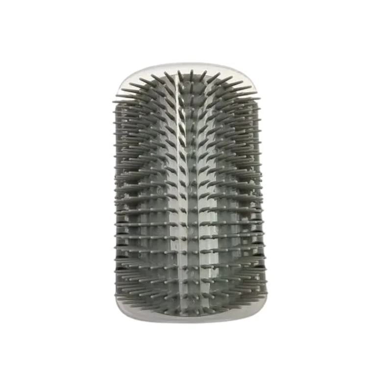 Brosse de massage