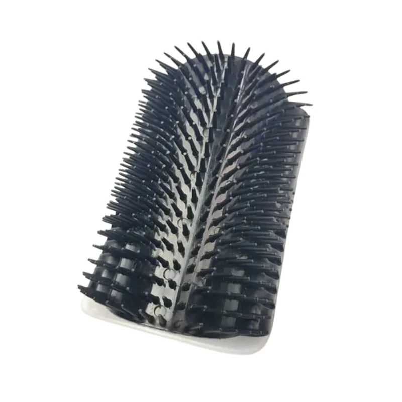 Brosse de massage