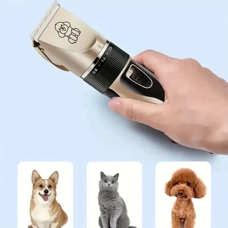 Kit de soins