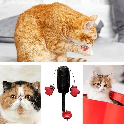 Jeu pour chats