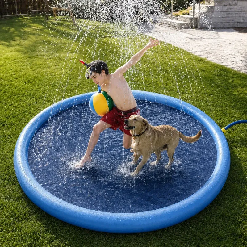 Piscine pour chien