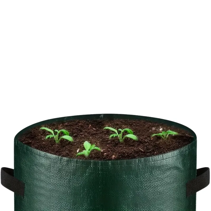 Sacs de Plantation GrowBag Plus