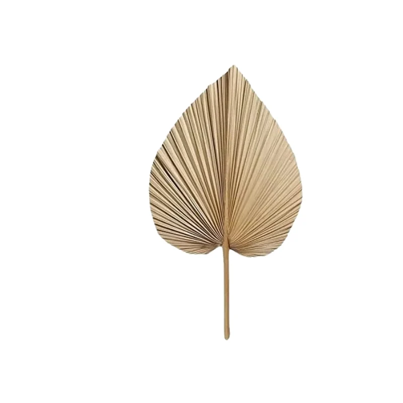 Feuille Élégance Bohème
