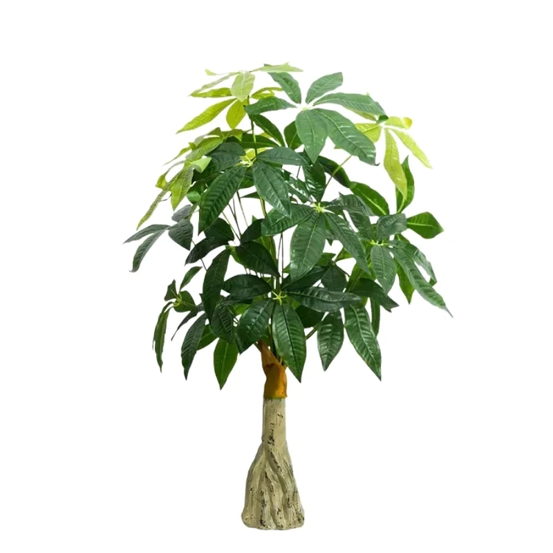 Arbre Pachira Luxe