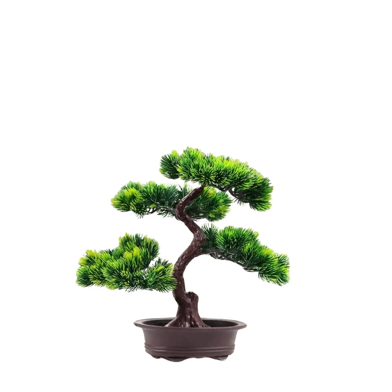 Bonsaï Zen Éternel™