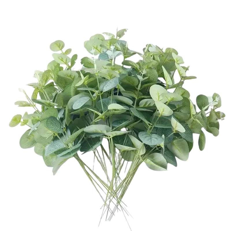 EucalyDecor