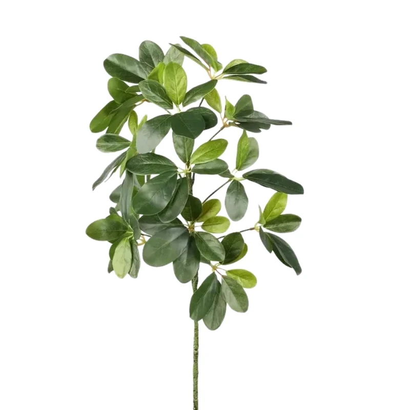 Simplicité Naturelle - Une touche de verdure intemporelle