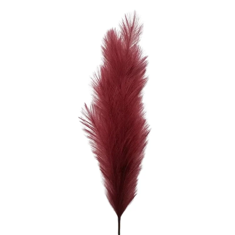 Passion Pourpre - Pampas élégance