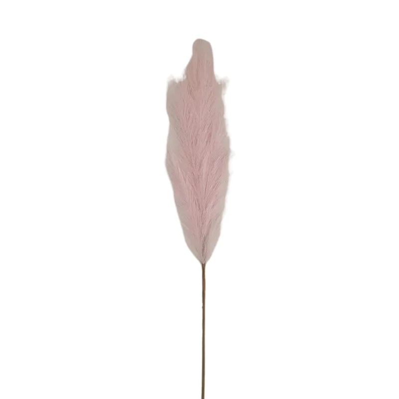 Douceur Pastel - Pampas Rose poudré