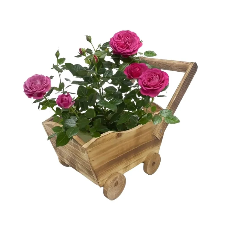 Chariot à Fleurs en Bois Rustique