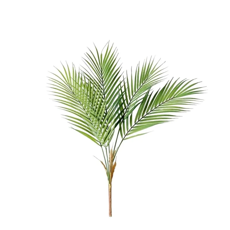 L'élégance du TropicPalm