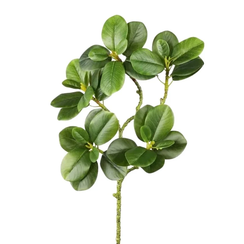 EverGreen Luxe