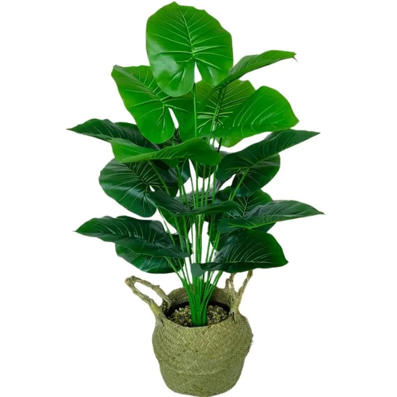 Monstera DecoLuxe
