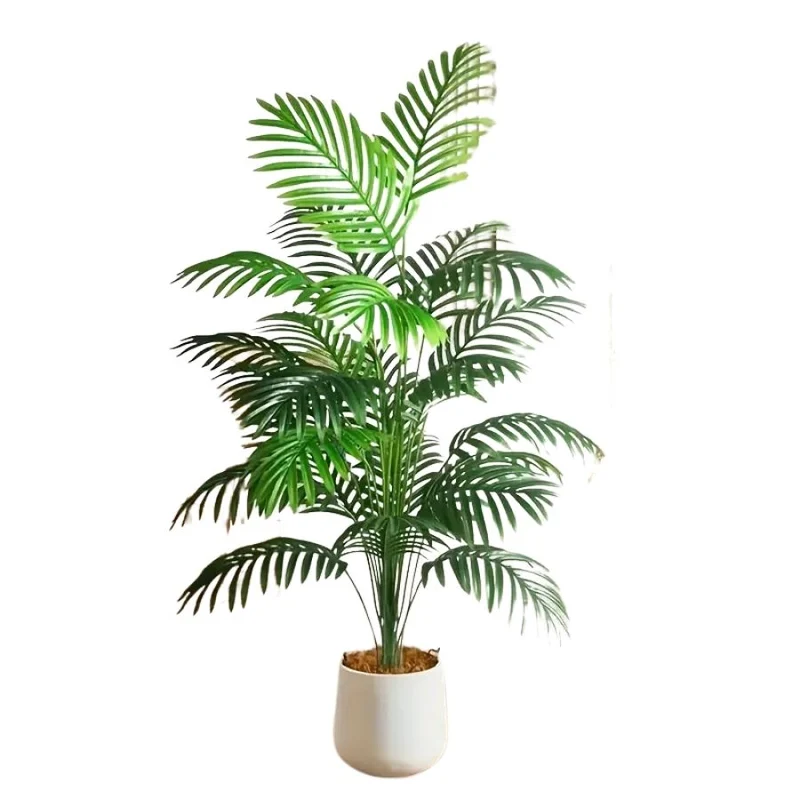 L'élégance du palmier Monstera