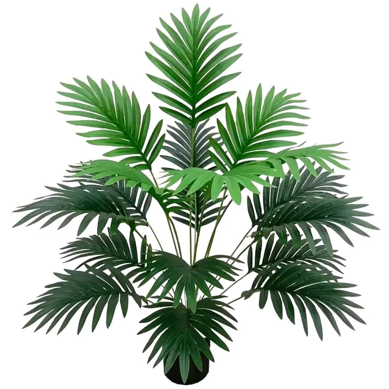 L'élégance du palmier Monstera