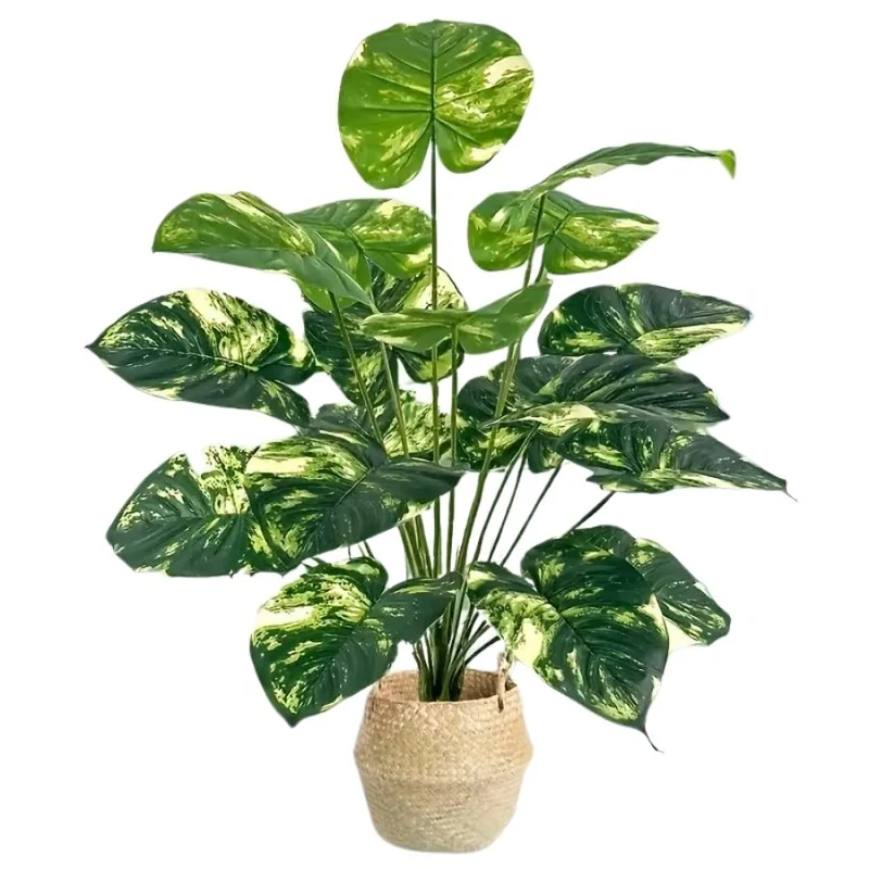 Harmonie des feuilles tropicales