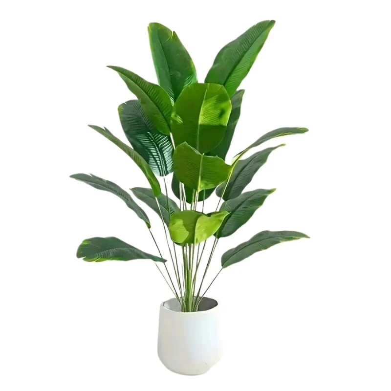 TropicalGreen Luxe