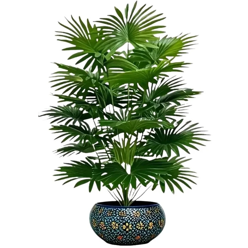 Palmier Tropical Éternel