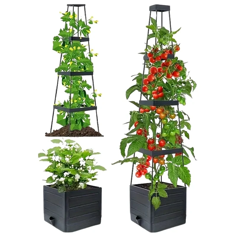 TomatoRise – Tour de Plantation Auto-Arrosante