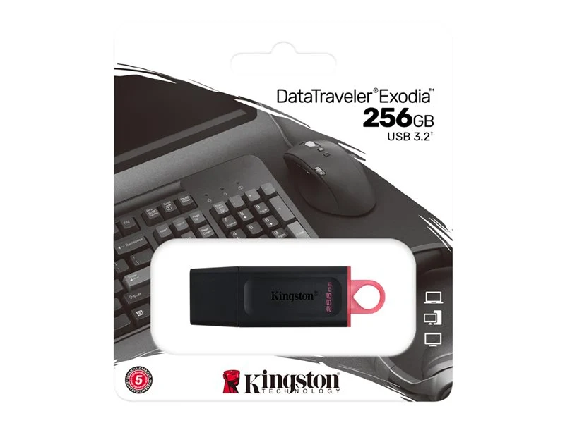 Kingston DataTraveler Exodia 256Go