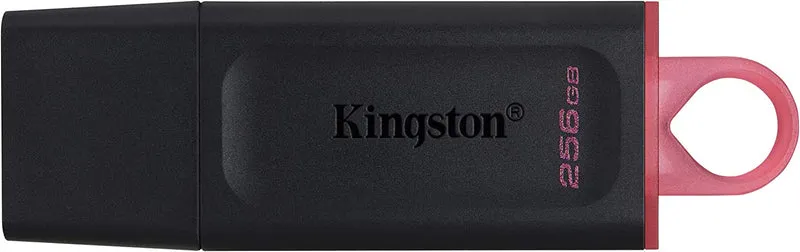 Kingston DataTraveler Exodia 256Go