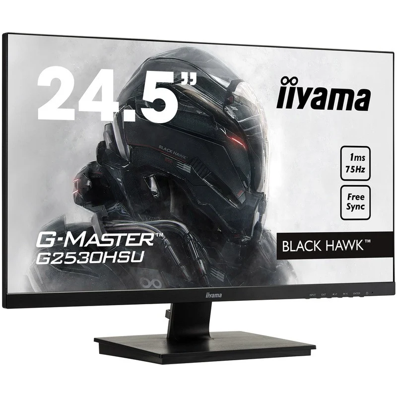 IIYAMA G-MASTER - 24.5 pouces - 75 Hz