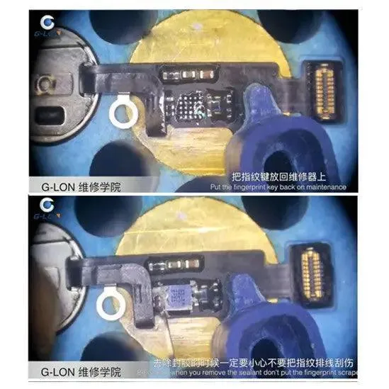 Remplacement du circuit intégré G-Lon pour bouton d'accueil (U10) pour iPhone 7 et 7 Plus