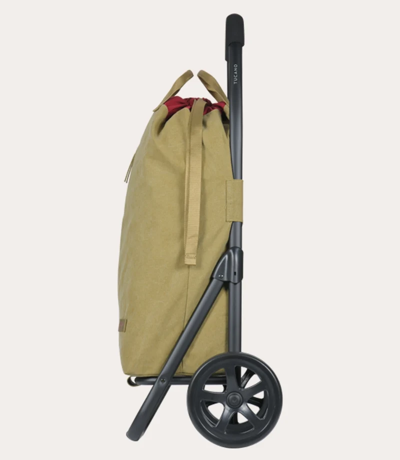 Carry Carrello Spesa