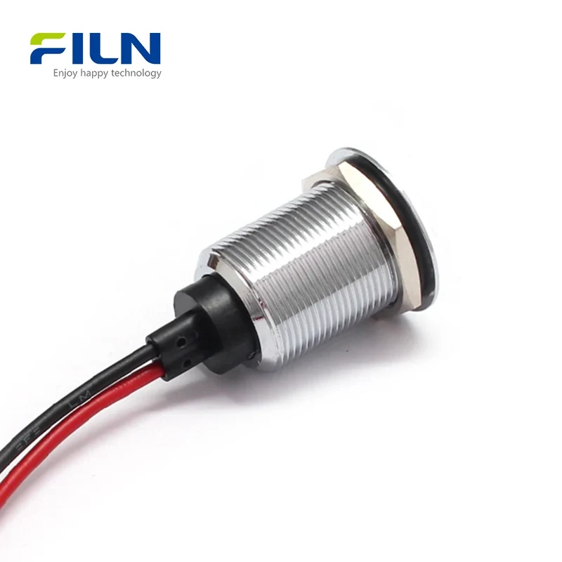 Panel Mount LED 19mm Metal Flat Head with 15cm Wire Lead 12V 110V 220V FILN