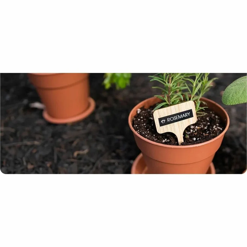 Ruban d'étiquettes Brother authentique P-touch TZe232 RD sur fond blanc, laminé, 12 mm x 8 m TZE232G