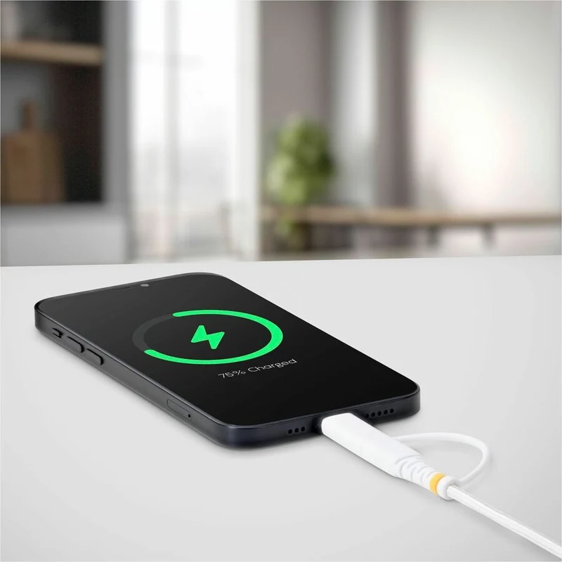 Câble de charge USB-C robuste StarTech 2-en-2 de 1 m (6.6 pi) avec adaptateur Lightning, 30 W/60 W, certifié Apple MFi, câble de charge USB-C tressé 2M-U2-LNTC-CABLE
