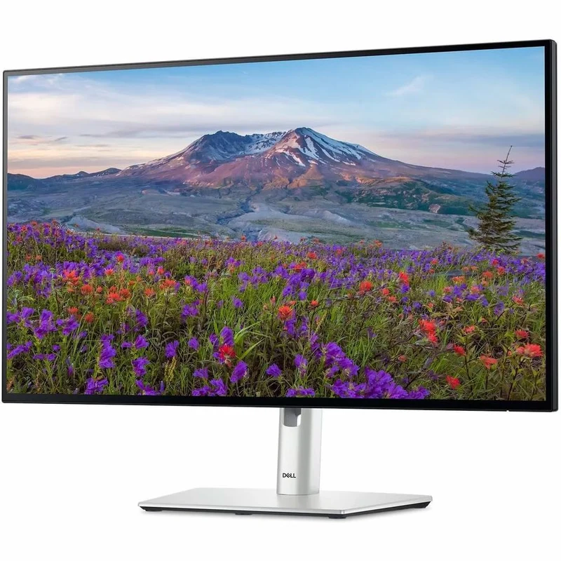 Moniteur LED Full HD Dell UltraSharp U2424HE 24 pouces - Format 16:9 - Noir DELL-U2424HE