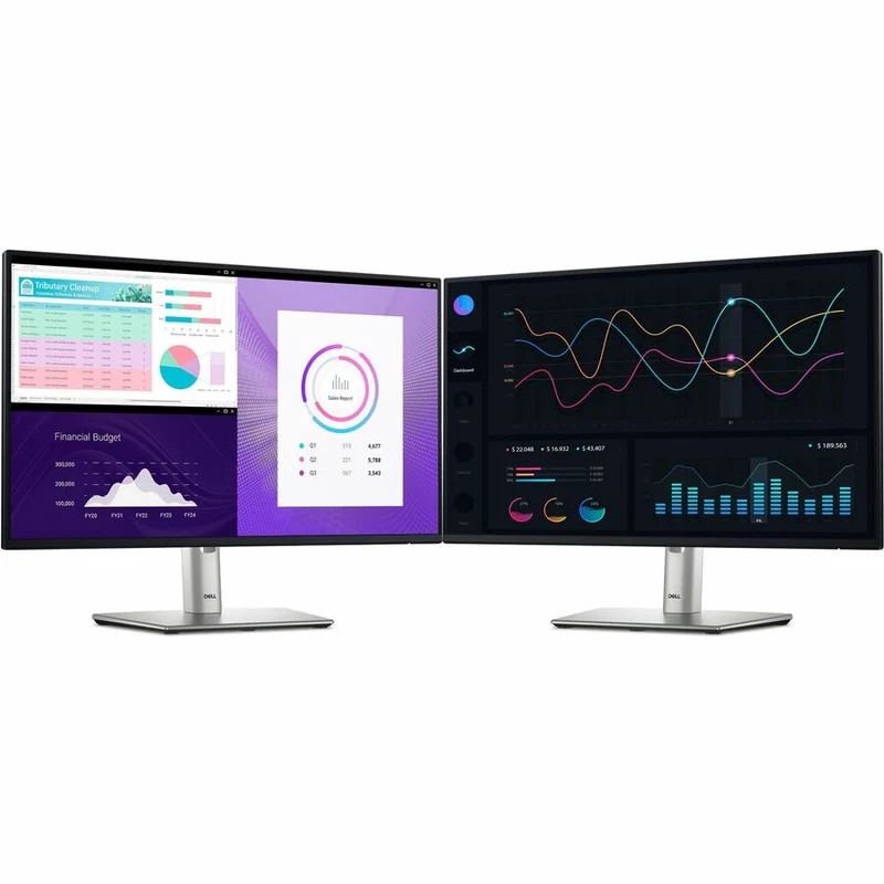 Moniteur LED Full HD Dell P2425H 24 pouces - Format 16:9 - Noir et argent