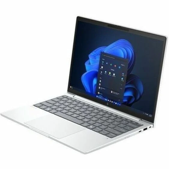 Ordinateur portable HP EliteBook 8 G1a 14" Copilot+ avec écran tactile - WUXGA - AMD Ryzen AI 7 350 - 64 Go - SSD 1 To - Clavier anglais - Argent glacier BN7X2UT#ABA