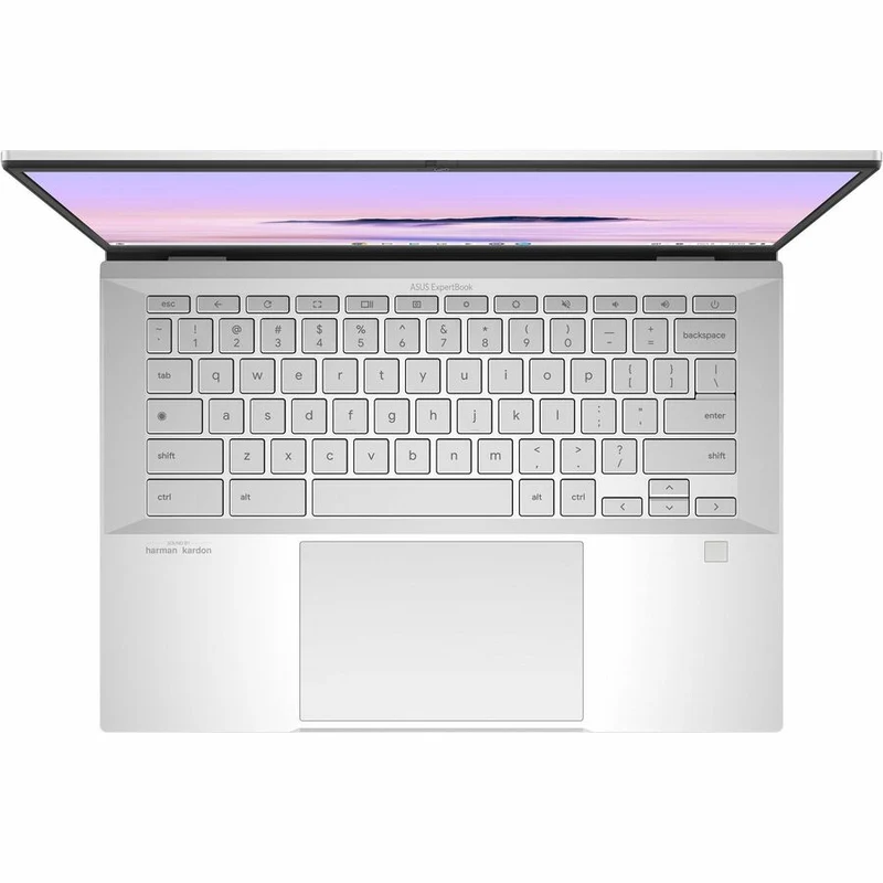 Asus ExpertBook CB54 Chromebook Plus Enterprise CB5403 CB5403CMA-C5ENT-CB Chromebook tactile 14" - WQXGA - Intel Core Ultra 5 115U - 16 Go - SSD 512 Go - Clavier bilingue - Argent brouillard CB5403CMA-C5ENT-CB