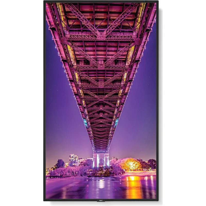 Écran professionnel ultra haute définition Sharp NEC Display 55" M551-2