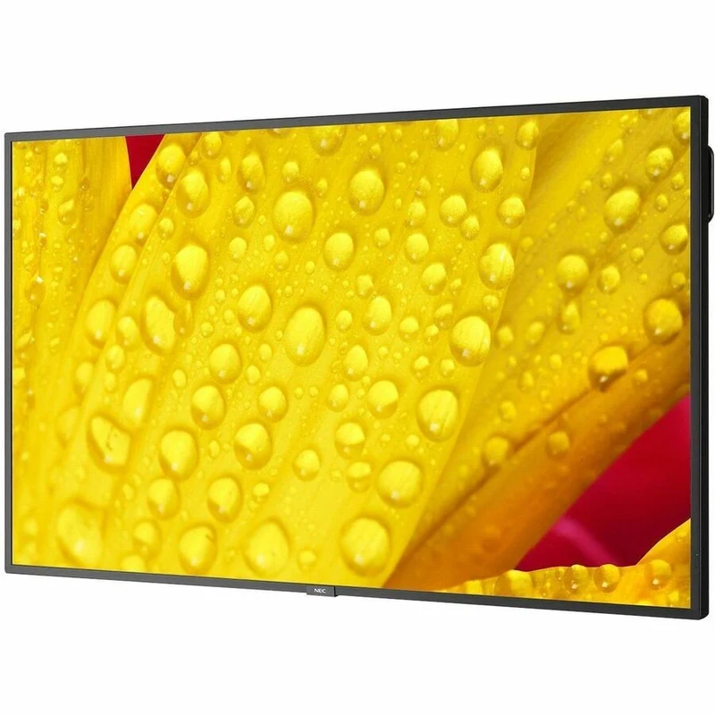 Écran professionnel ultra haute définition Sharp NEC Display 65" M651-2