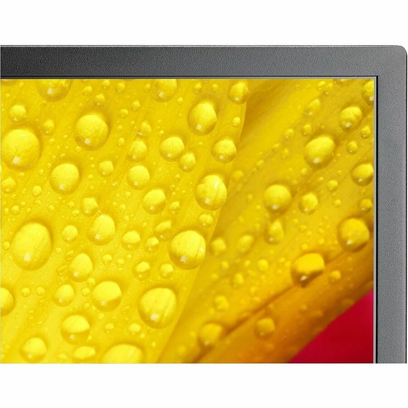 Écran professionnel ultra haute définition Sharp NEC Display 65" M651-2