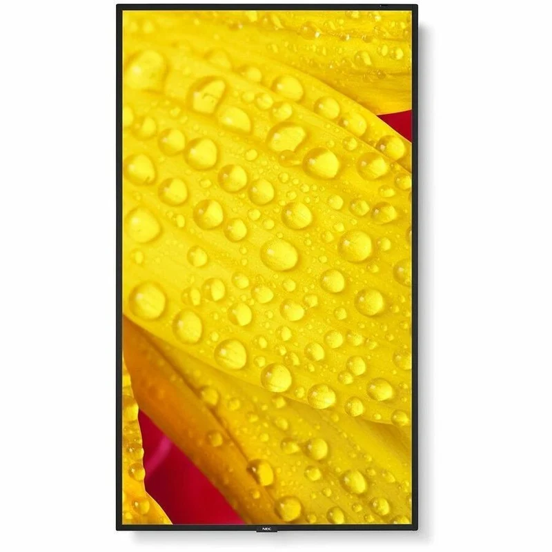 Écran professionnel ultra haute définition Sharp NEC Display 65" M651-2