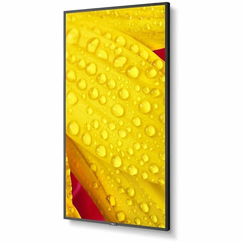 Écran professionnel ultra haute définition Sharp NEC Display 65" M651-2