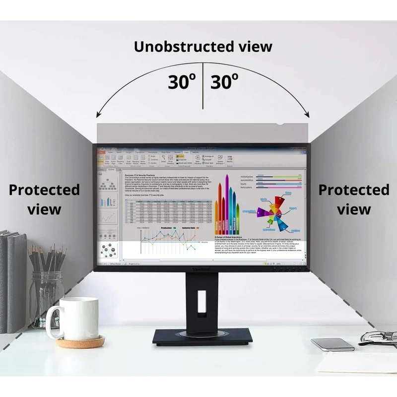 Filtre de confidentialité ViewSonic Noir VSPF1250