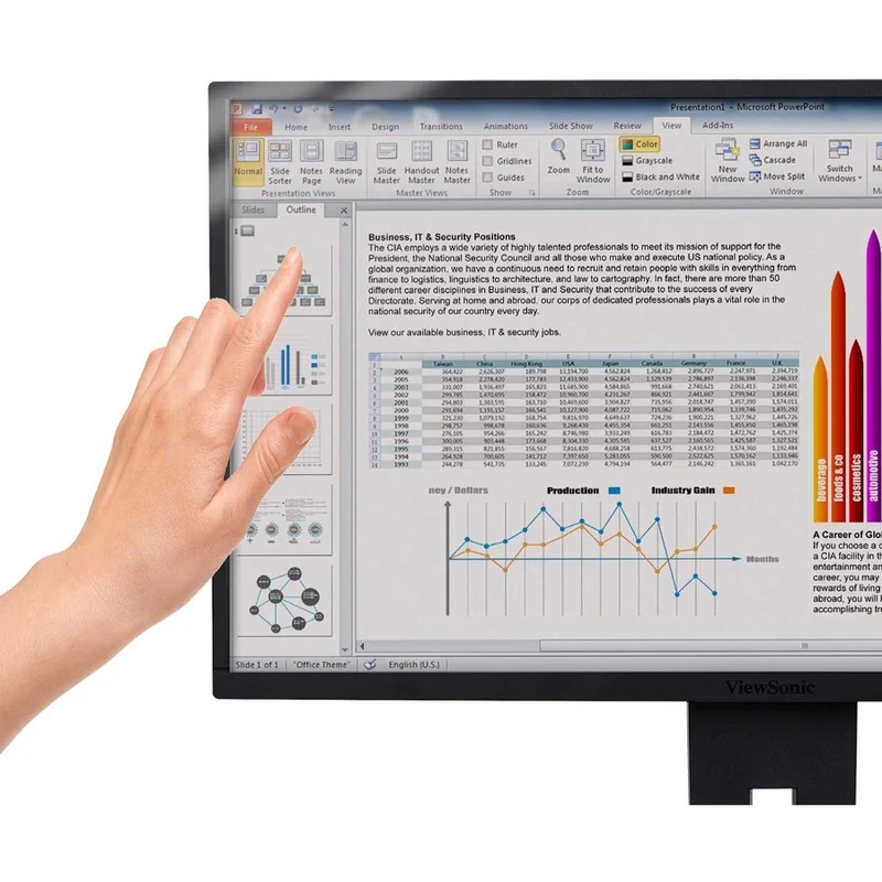 Filtre de confidentialité ViewSonic Noir VSPF1250